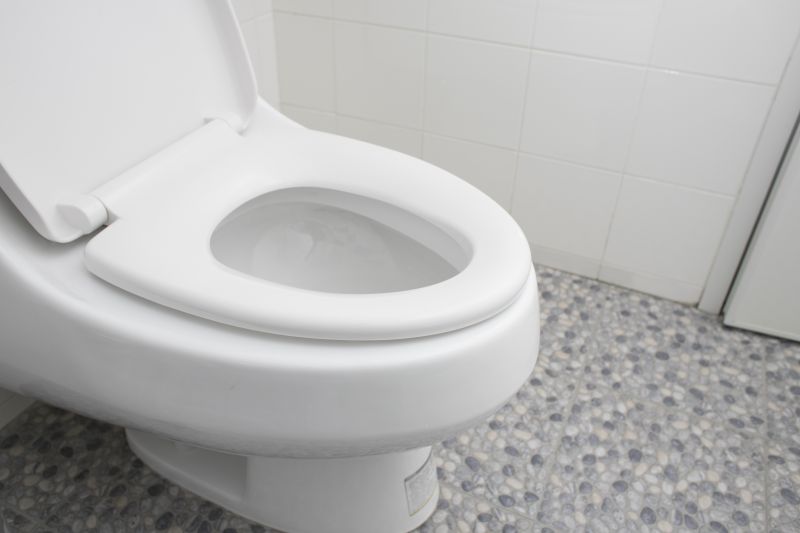 Bathroom Renovation in Wixom, MI