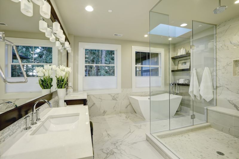 Shower Remodeling in Ida, MI